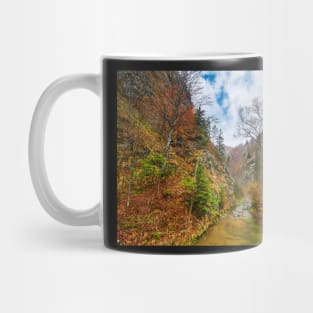 Canyon in mountains Mug